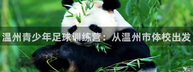 一竞技官方正版app官方：温州青少年足球训练营：从温州市体校