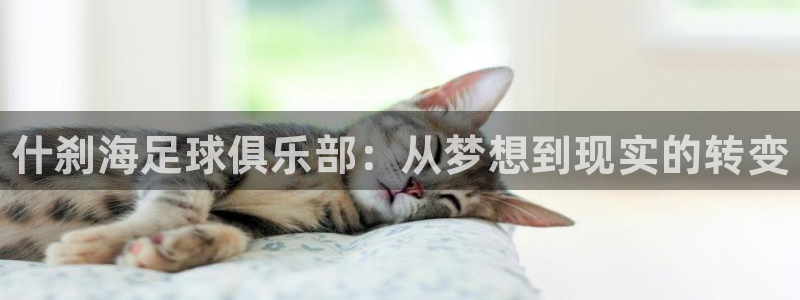 一竞技官方正版app集团：什刹海足球俱乐部：从梦想到