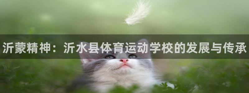 一竞技官方正版app神州：沂蒙精神：沂水县体育运动学