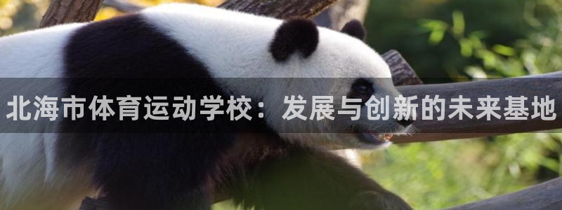 一竞技官网下载招商电话地址是多少：北海市体育运动学校