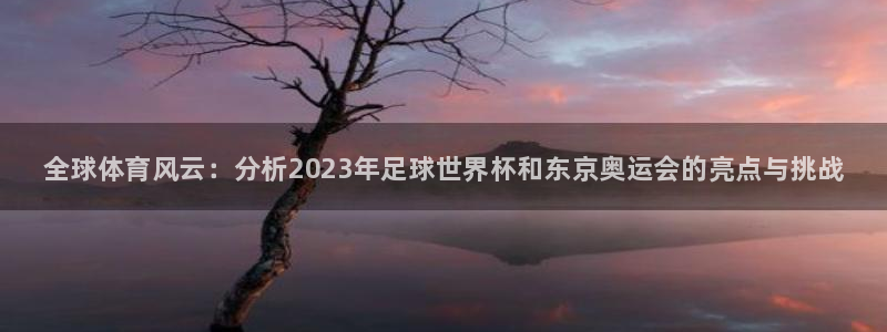 一竞技官方正版app代理：全球体育风云：分析2023