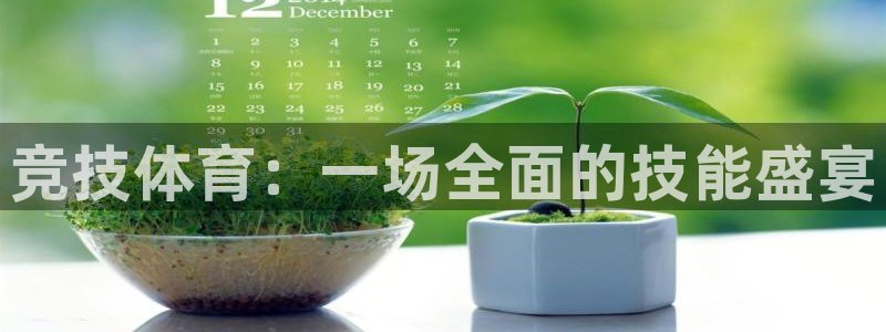 一竞技官方正版app娱乐网站：竞技体育：一场全面的技
