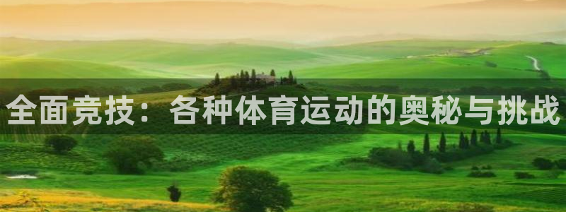 一竞技官方正版app集团官网首页：全面竞技：各种体育运动的奥
