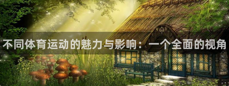 一竞技官网下载是干嘛的公司：不同体育运动的魅力与影响：一个全