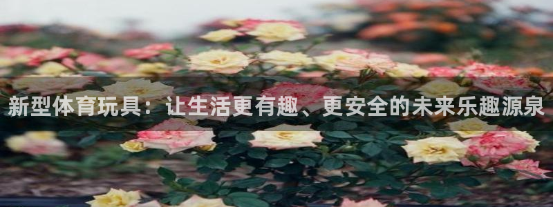 一竞技官网下载平台注册要钱吗：新型体育玩具：让生活更有趣、更