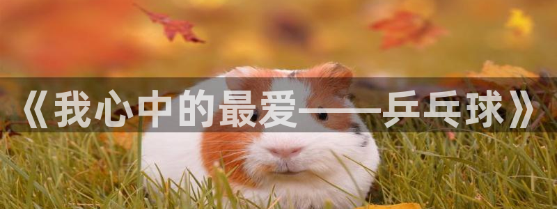 一竞技官网下载招商电话号码是多少啊：《我心中的最爱——乒乓球