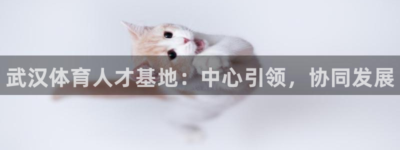 一竞技官网下载开户