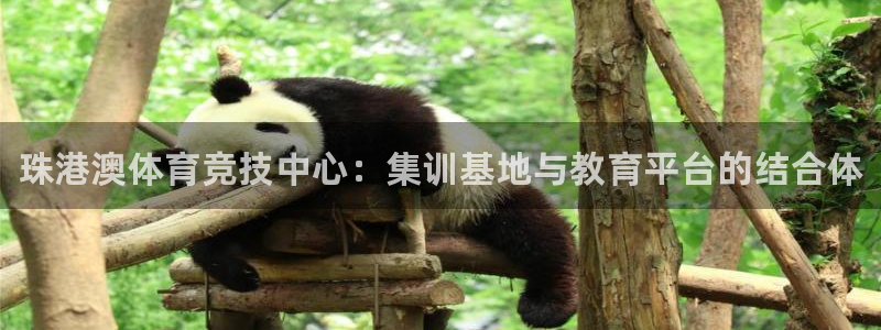 一竞技官网下载软件：珠港澳体育竞技中心：集训基地与教育平台的