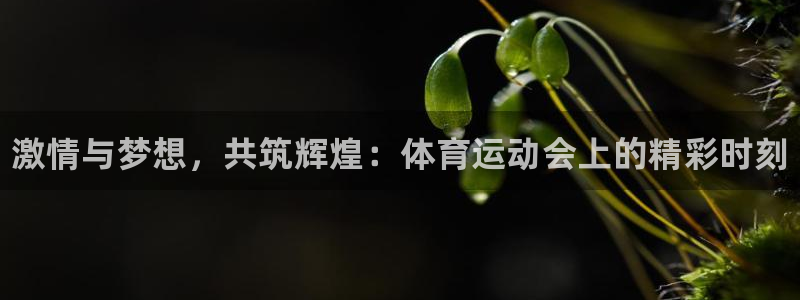 一竞技官方正版app开户：激情与梦想，共筑辉煌：体育运动会上