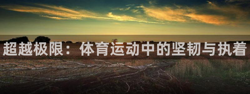 一竞技官网下载招商电话是多少号码：超越极限：体育运动中的坚韧
