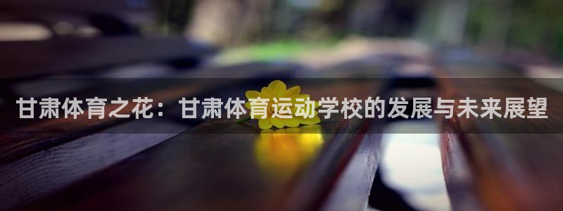 一竞技官网下载平台注册流程视频：甘肃体育之花：甘肃体育运动学