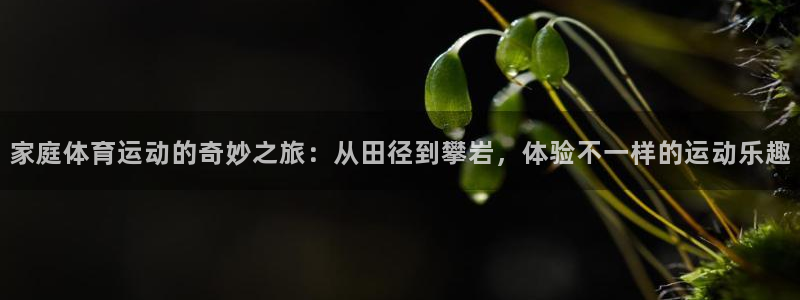一竞技官方正版app娱乐下载：家庭体育运动的奇妙之旅