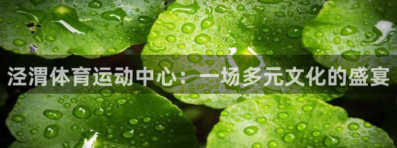 一竞技官网下载平台假的吗是真的吗：泾渭体育运动中心：