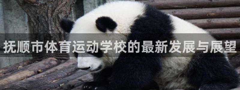 一竞技官方正版app娱乐平台：抚顺市体育运动学校的最新发展与
