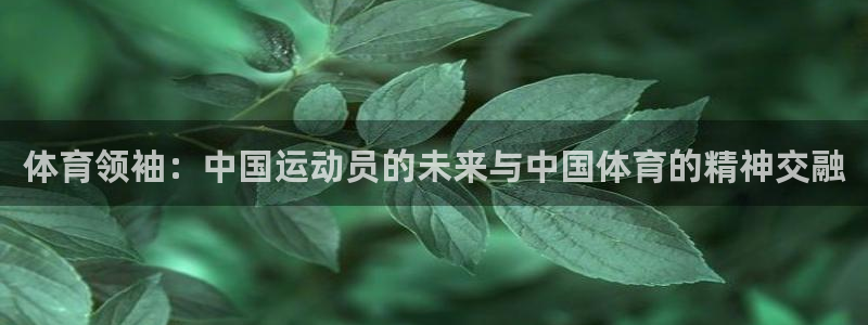 一竞技官网下载平台注册要钱吗安全吗：体育领袖：中国运动员的未