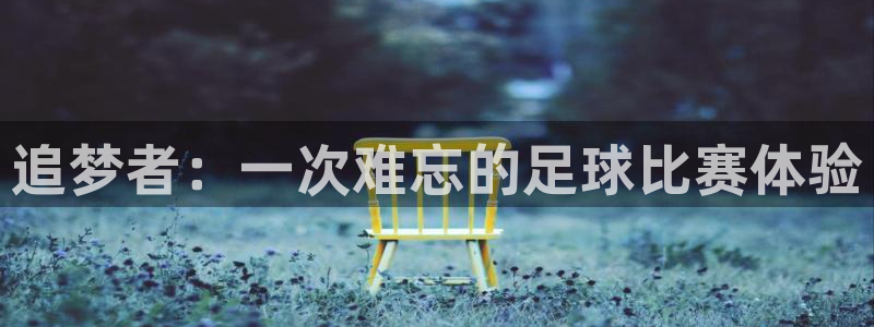 一竞技官方正版app集团E.ON：追梦者：一次难忘的