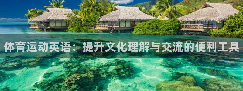 一竞技官网下载招商电话：体育运动英语：提升文化理解与交流的便