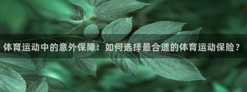 一竞技官网下载联系电话：体育运动中的意外保障：如何选择最合适