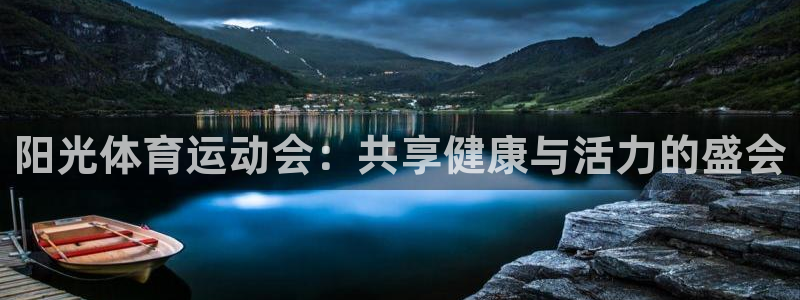 一竞技one卡安不安全：阳光体育运动会：共享健康与活力的盛会