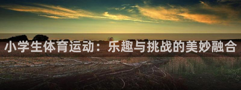  一竞技入口官网首页：小学生体育运动：乐趣与挑战的美妙融合