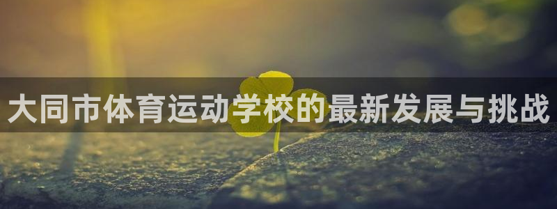 一竞技测速站网址：大同市体育运动学校的最新发展与挑战