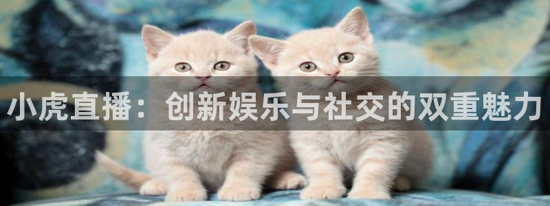 河豚体育nba直播在线观看：小虎直播：创新娱乐与社交的双重魅力