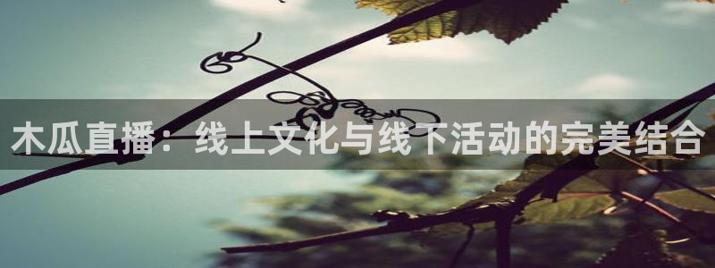 河豚视频：木瓜直播：线上文化与线下活动的完美结合