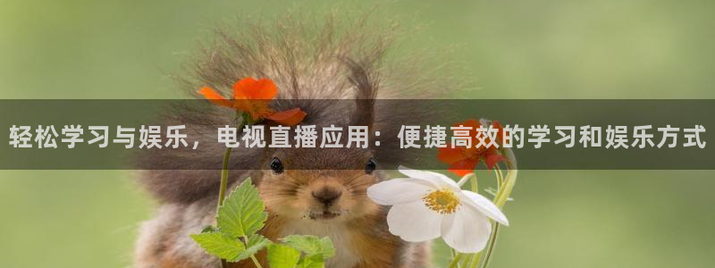 河豚nba直播官网：轻松学习与娱乐，电视直播应用：便捷高效的学习和娱乐方式