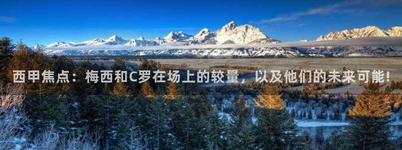 河豚体育直播免费下载：西甲焦点：梅西和C罗在场上的较量，以及他们的未来可能!