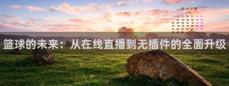 河豚的：篮球的未来：从在线直播到无插件的全面升级