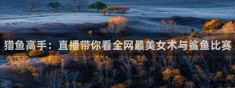 河豚足球直播网