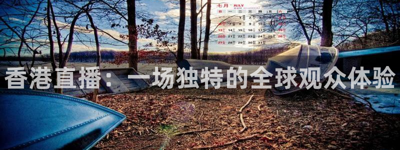河豚体育直播nba：香港直播：一场独特的全球观众体验