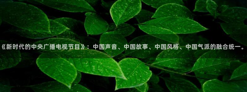 河豚体育nba直播在线观看：《新时代的中央广播电视节目》：中国声音、中国故事、中国风格、中国气派的融合统一。
