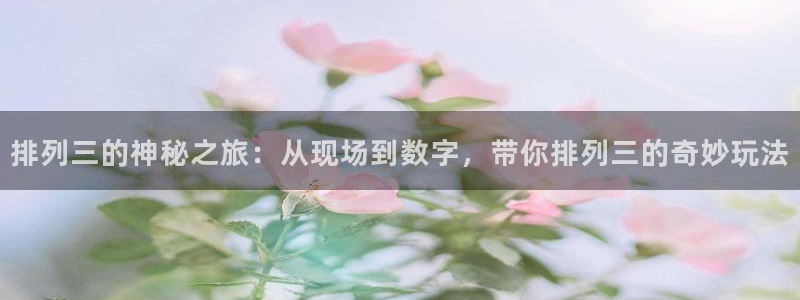 河豚足球直播：排列三的神秘之旅：从现场到数字，带你排列三的奇妙玩法