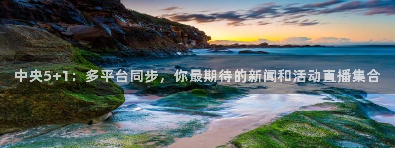 河豚体育nba直播：中央5+1：多平台同步，你最期待的新闻和活动直播集合