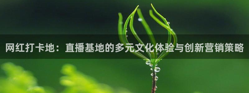 河豚的：网红打卡地：直播基地的多元文化体验与创新营销策略