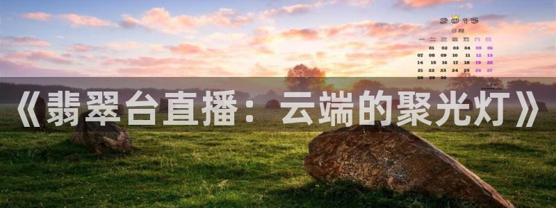 河豚面：《翡翠台直播：云端的聚光灯》